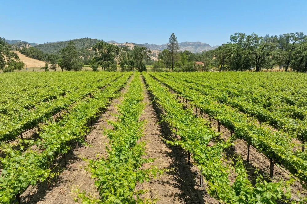 3567 State Highway 128 Calistoga, CA 94515