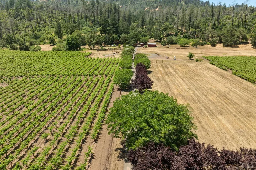 3567 State Highway 128 Calistoga, CA 94515