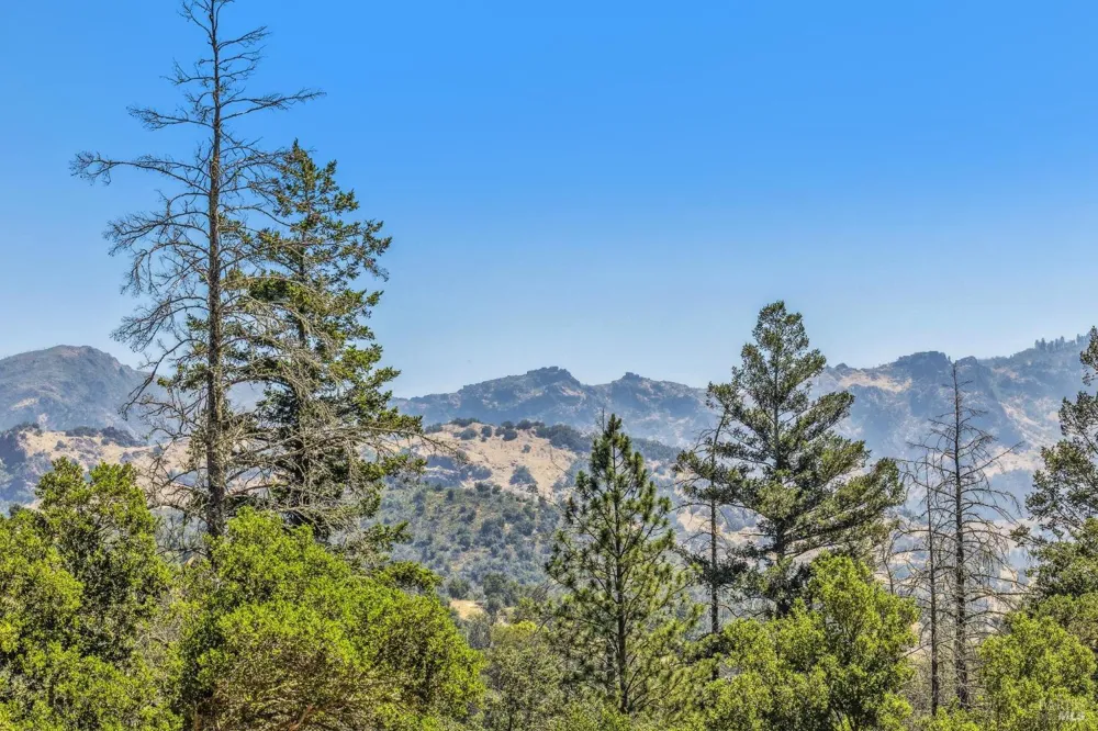 3567 State Highway 128 Calistoga, CA 94515