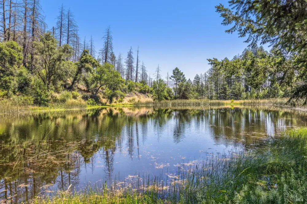 3567 State Highway 128 Calistoga, CA 94515