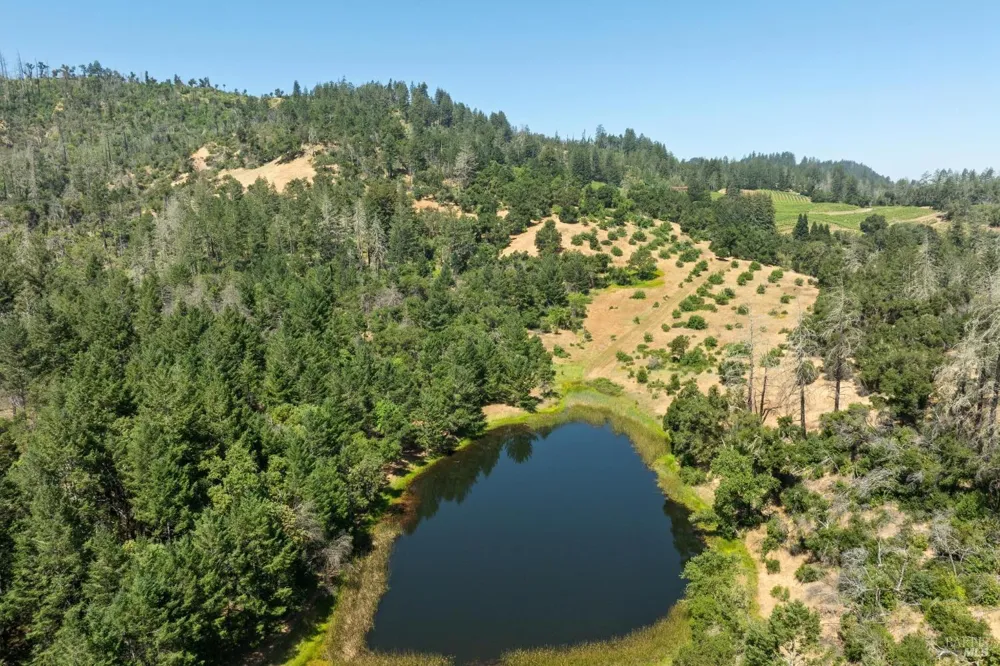 3567 State Highway 128 Calistoga, CA 94515