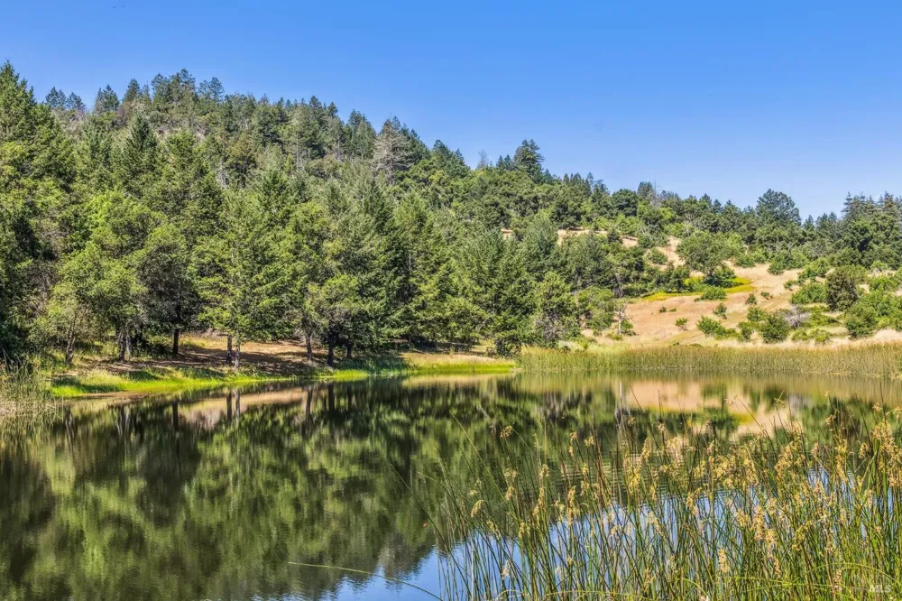 3567 State Highway 128 Calistoga, CA 94515