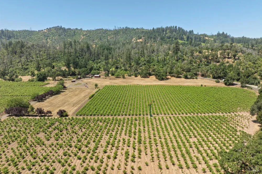3567 State Highway 128 Calistoga, CA 94515