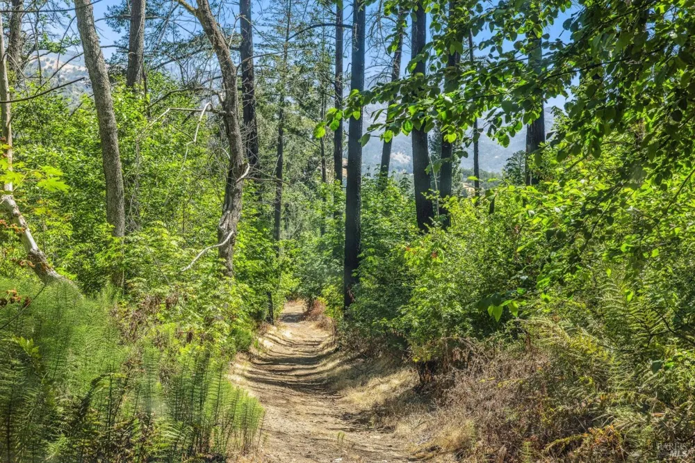 3567 State Highway 128 Calistoga, CA 94515