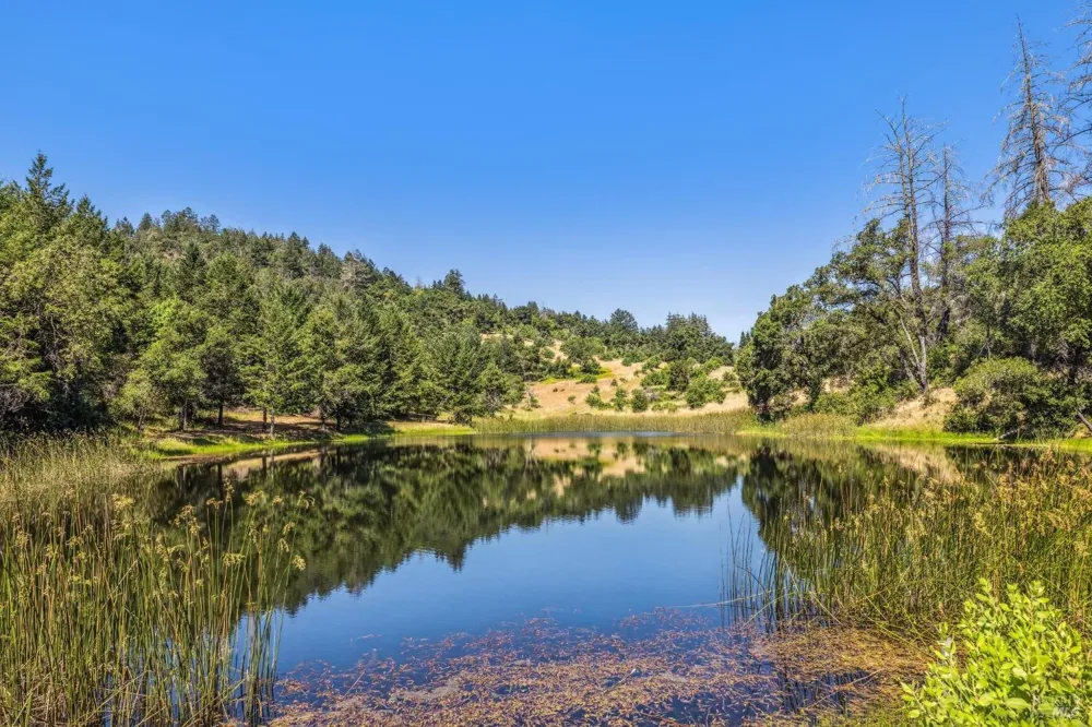 3567 State Highway 128 Calistoga, CA 94515
