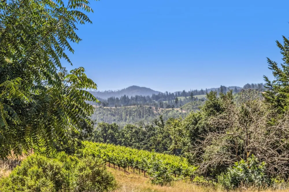 3567 State Highway 128 Calistoga, CA 94515