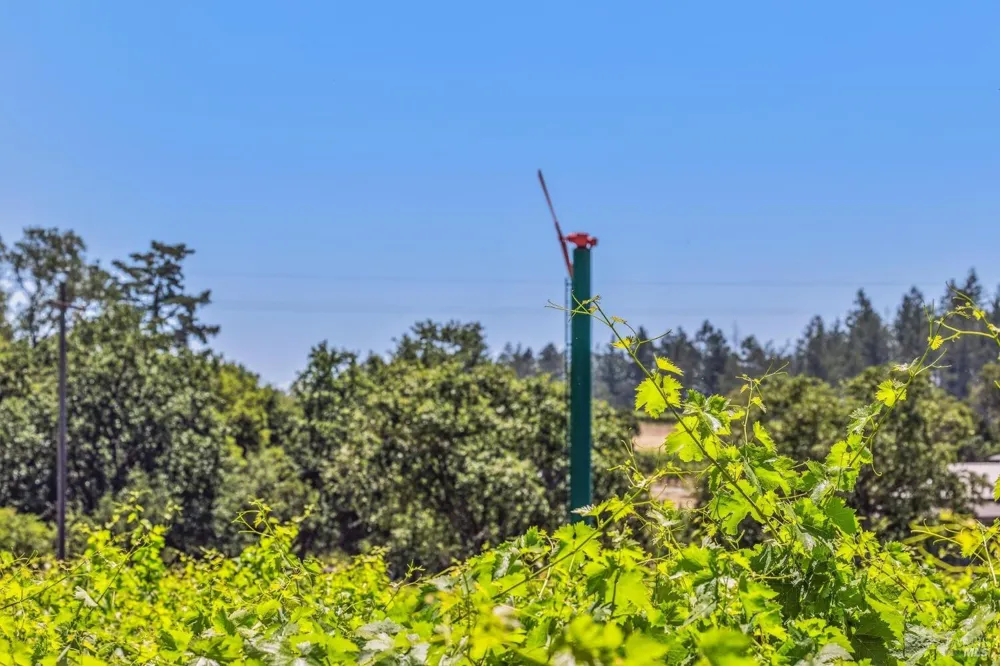 3567 State Highway 128 Calistoga, CA 94515