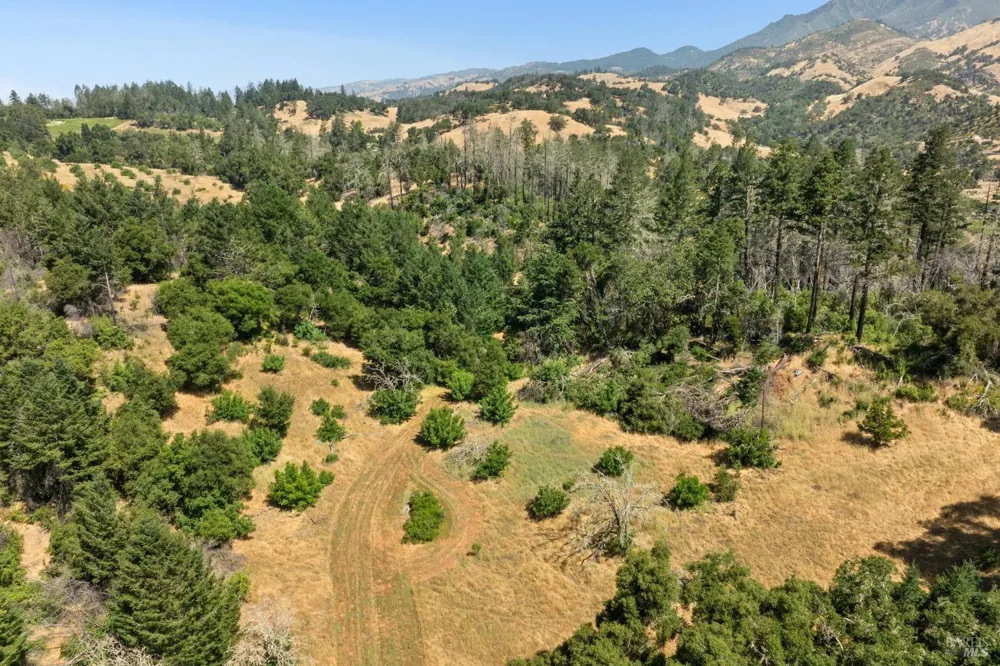 3567 State Highway 128 Calistoga, CA 94515