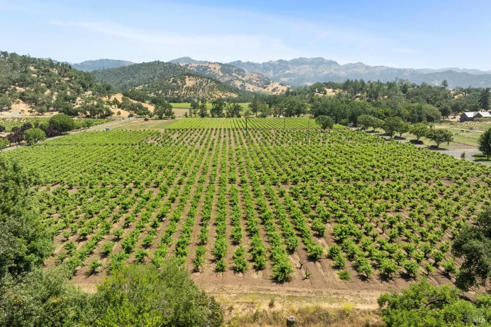 3567 State Highway 128 Calistoga, CA 94515