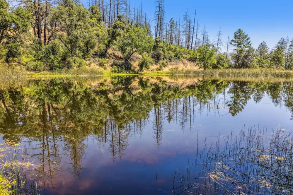 3567 State Highway 128 Calistoga, CA 94515