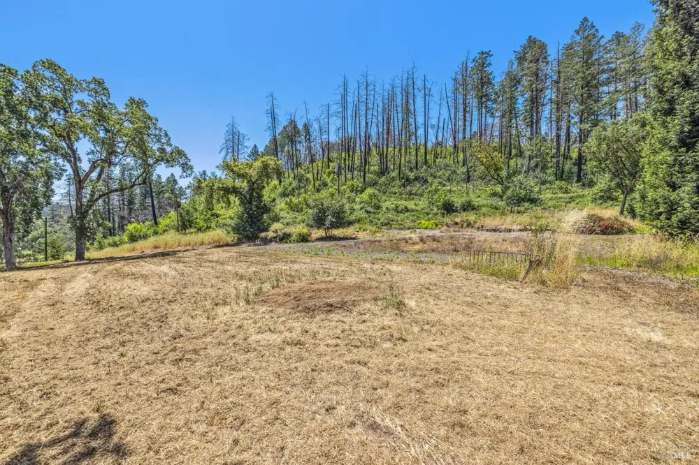 3567 State Highway 128 Calistoga, CA 94515