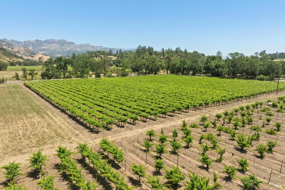 3567 State Highway 128 Calistoga, CA 94515
