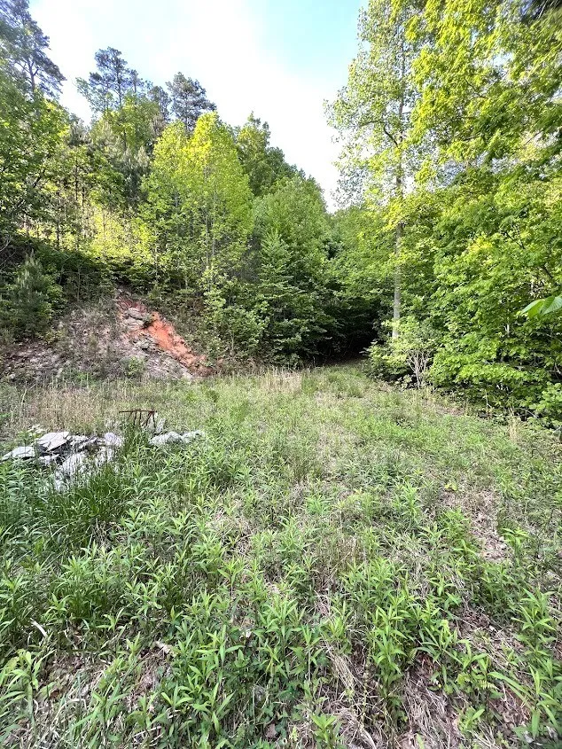 Moonlight Trail Bryson City, NC 28713