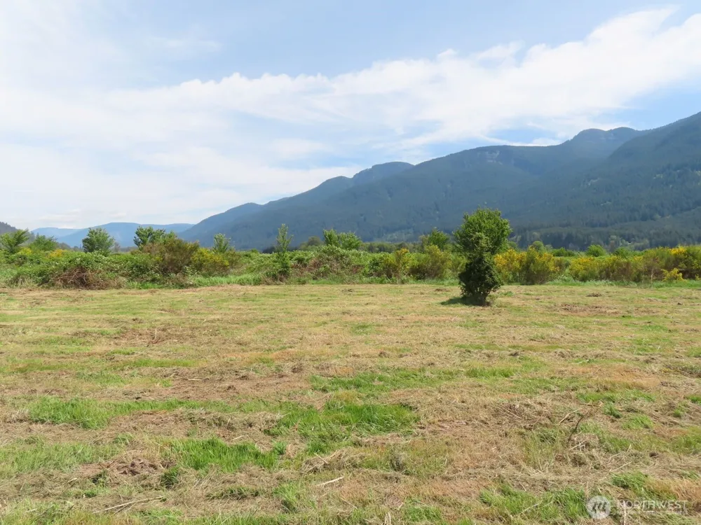 295 River Ranch Road Randle, WA 98377