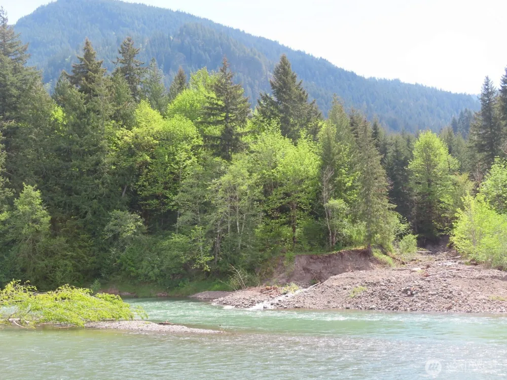 295 River Ranch Road Randle, WA 98377