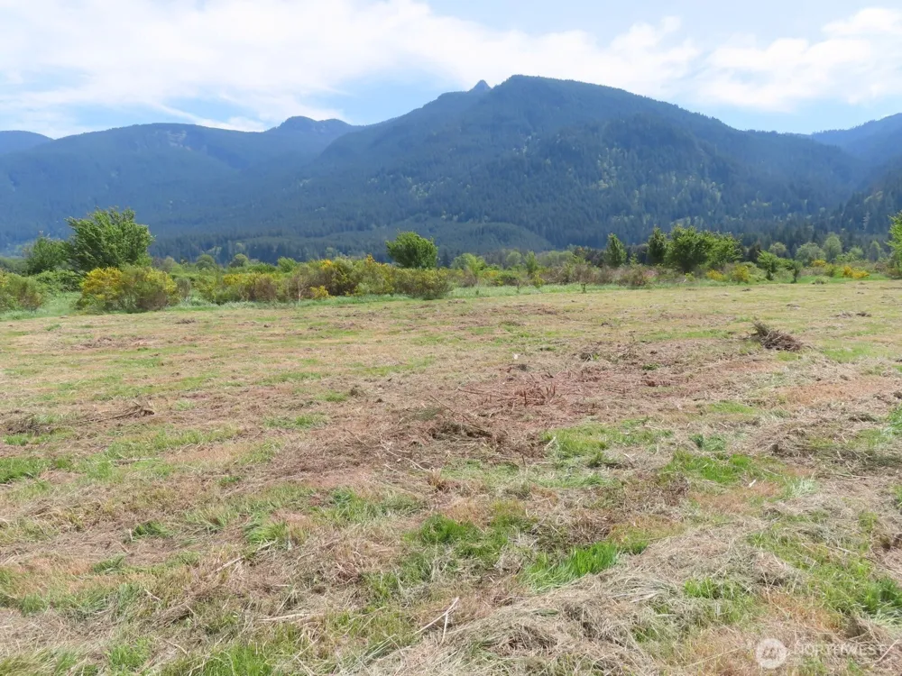 295 River Ranch Road Randle, WA 98377