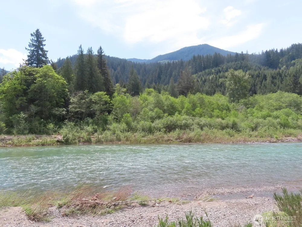295 River Ranch Road Randle, WA 98377