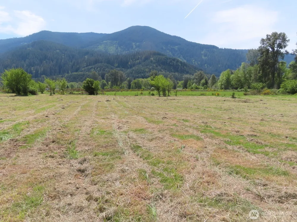295 River Ranch Road Randle, WA 98377
