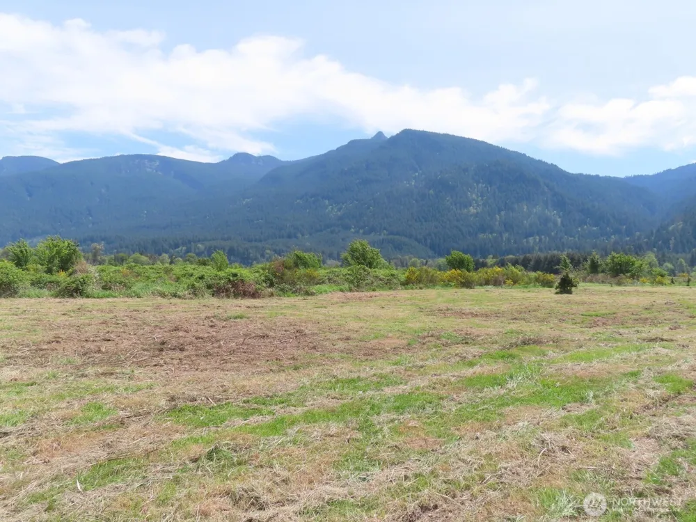 295 River Ranch Road Randle, WA 98377