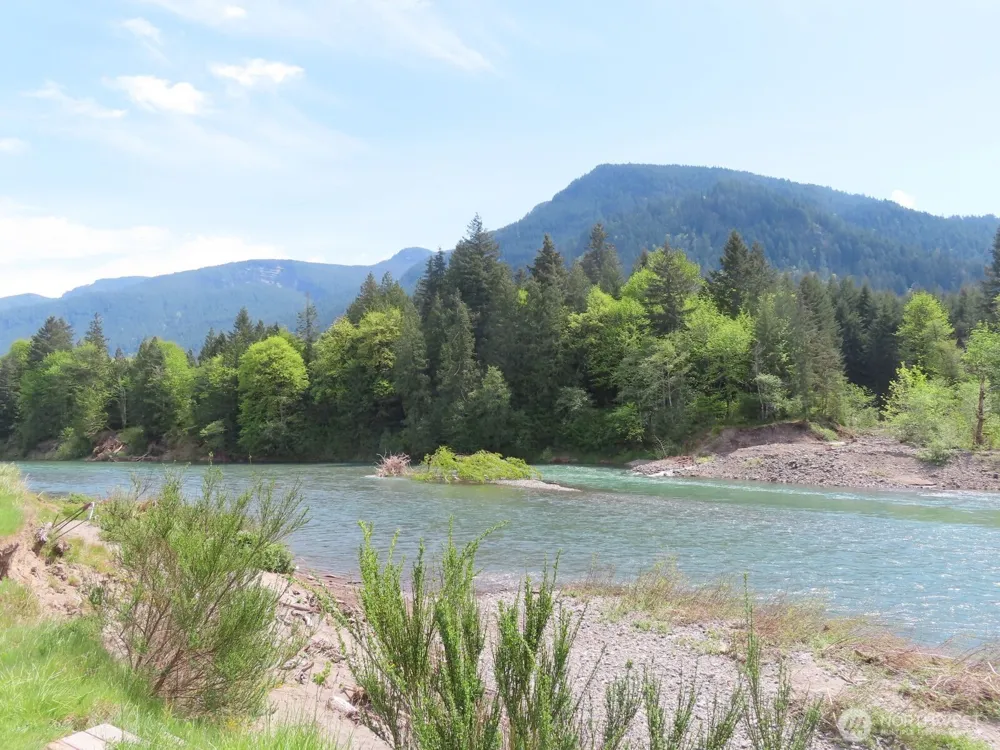 295 River Ranch Road Randle, WA 98377