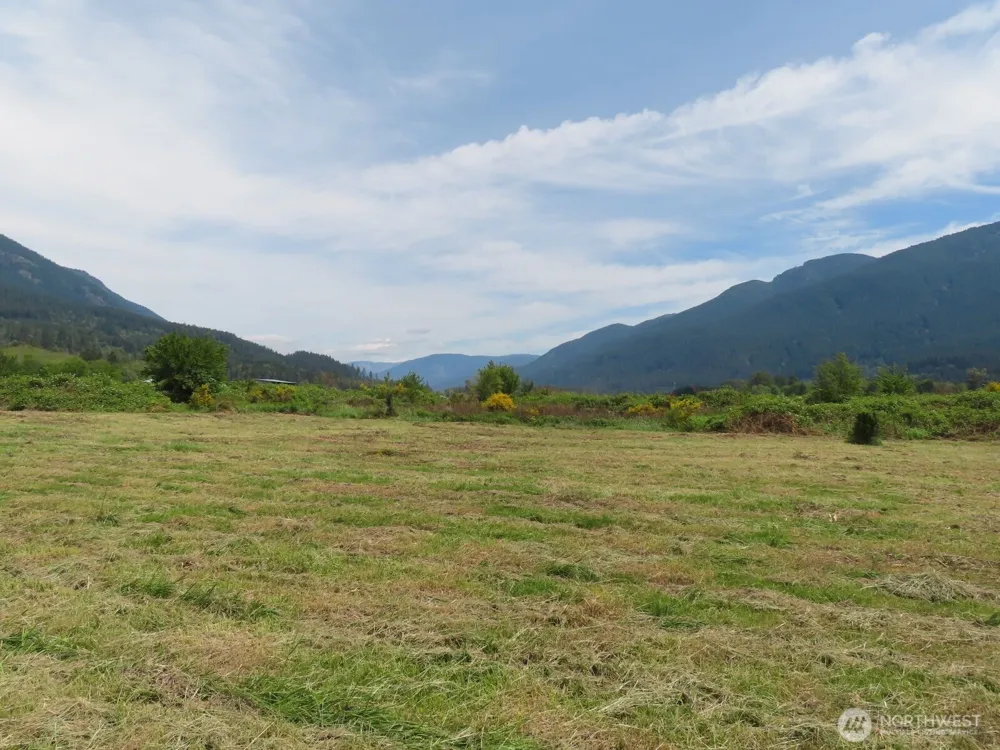 295 River Ranch Road Randle, WA 98377