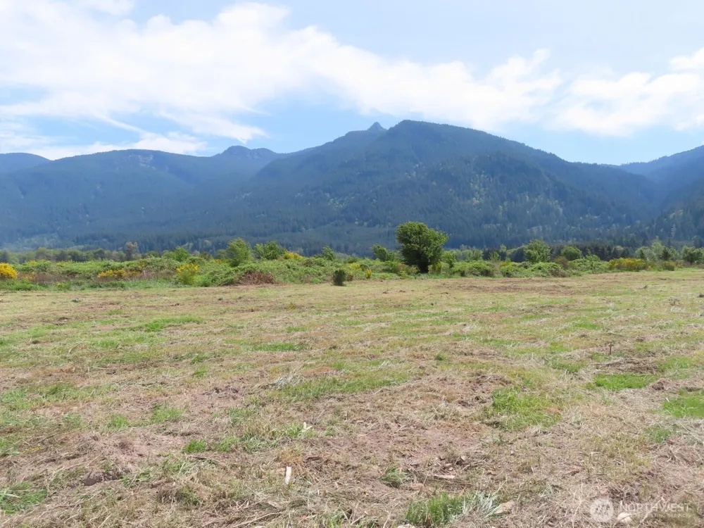 295 River Ranch Road Randle, WA 98377