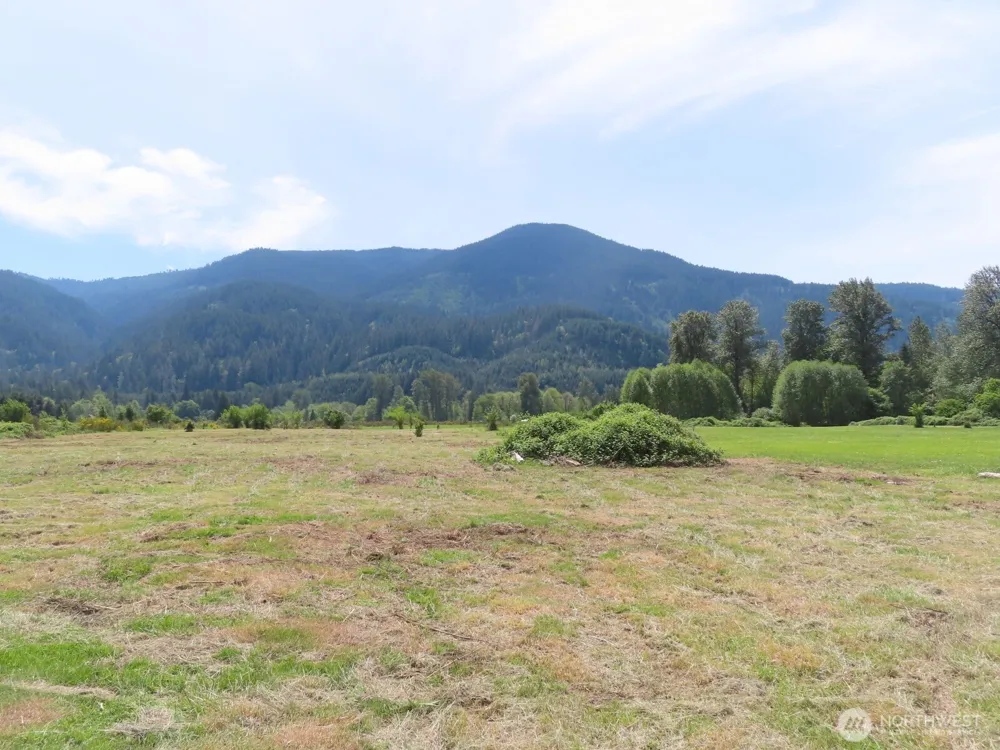 295 River Ranch Road Randle, WA 98377