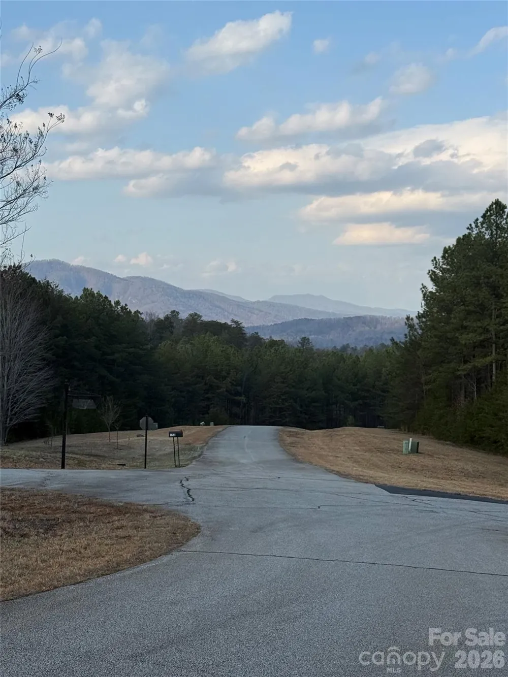 109 Spring Hollow Road #10 Mill Spring, NC 28756