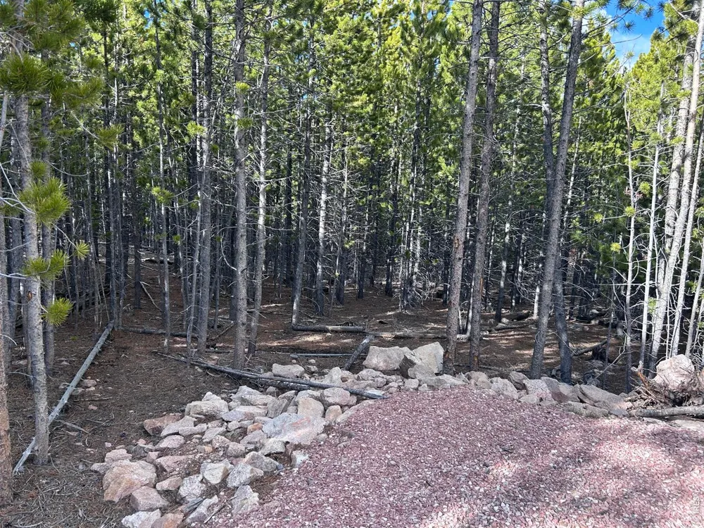 2596 Ottawa Way Red Feather Lakes, CO 80545