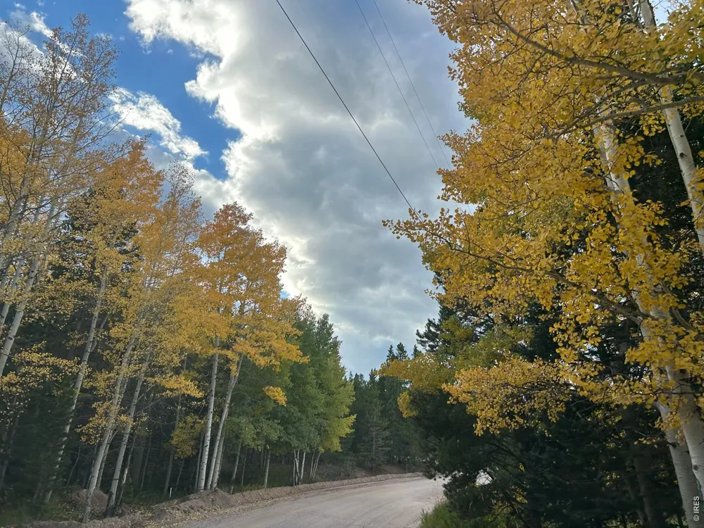 2596 Ottawa Way Red Feather Lakes, CO 80545