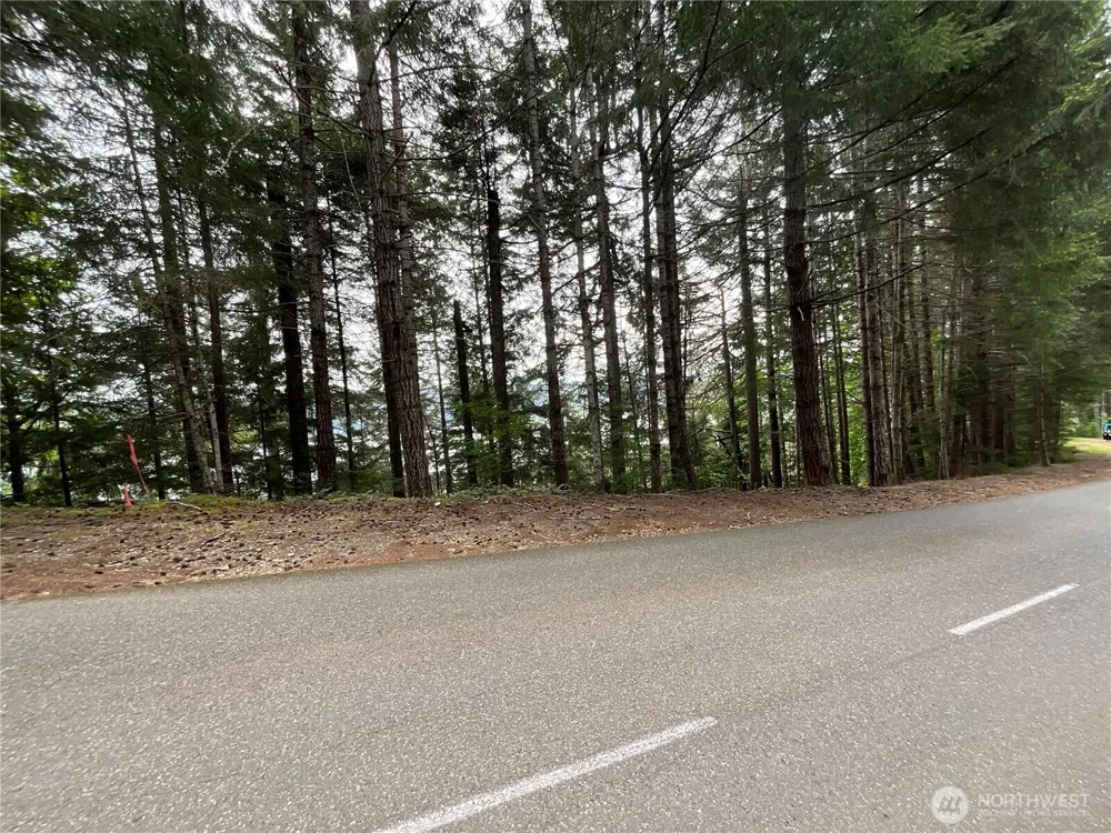 6 X N Colony Surf Drive Lilliwaup, WA 98555