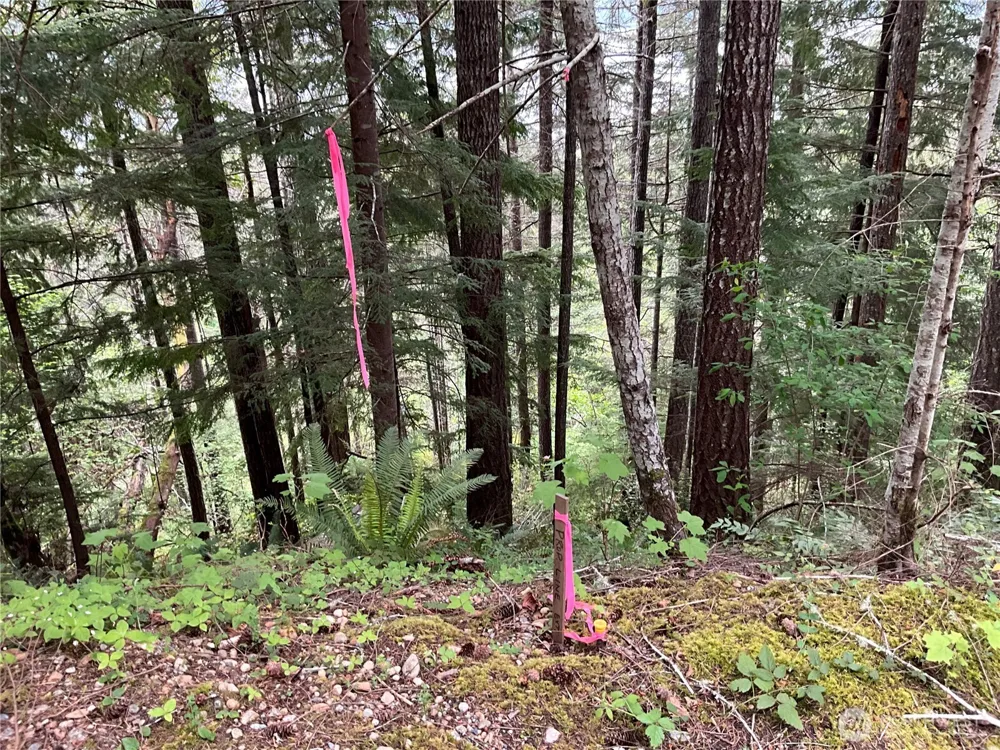 6 X N Colony Surf Drive Lilliwaup, WA 98555