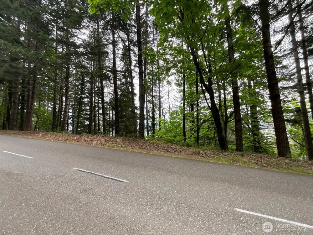 6 X N Colony Surf Drive Lilliwaup, WA 98555