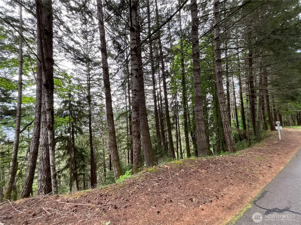 6 X N Colony Surf Drive Lilliwaup, WA 98555