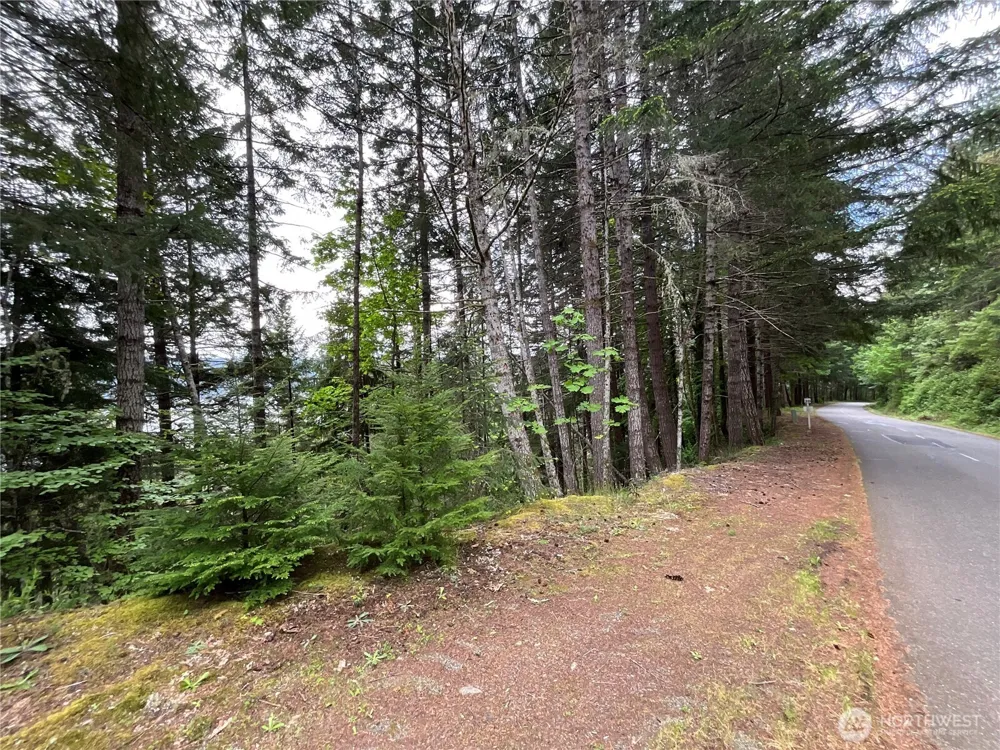 6 X N Colony Surf Drive Lilliwaup, WA 98555