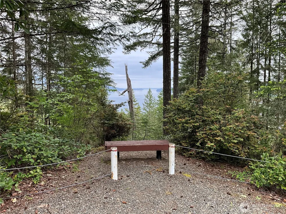6 X N Colony Surf Drive Lilliwaup, WA 98555