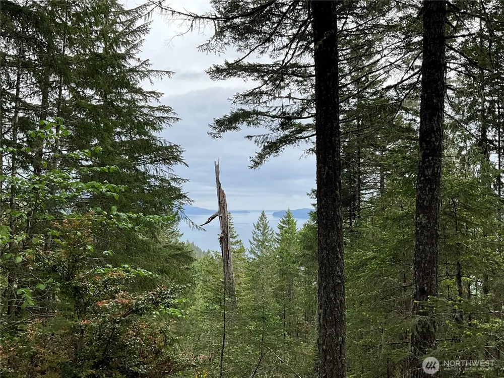 6 X N Colony Surf Drive Lilliwaup, WA 98555