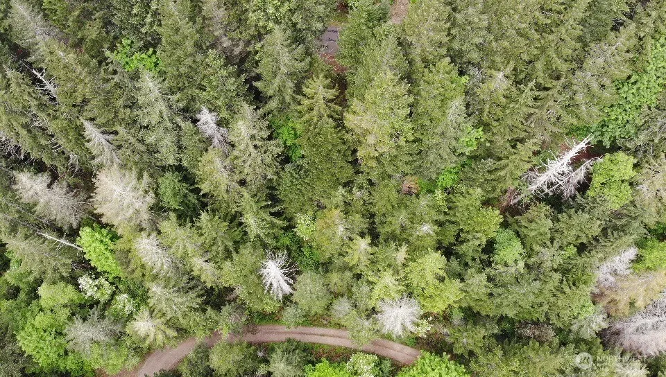 6 X N Colony Surf Drive Lilliwaup, WA 98555