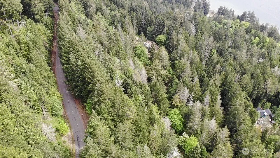 6 X N Colony Surf Drive Lilliwaup, WA 98555