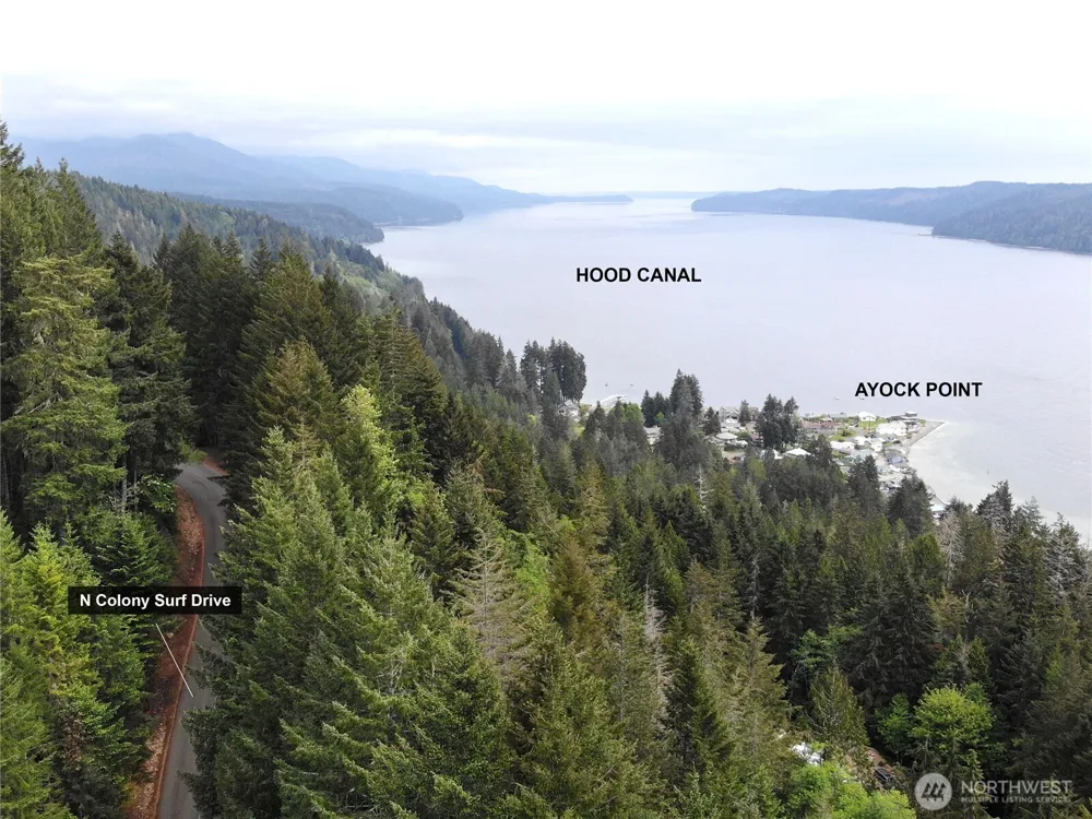 6 X N Colony Surf Drive Lilliwaup, WA 98555