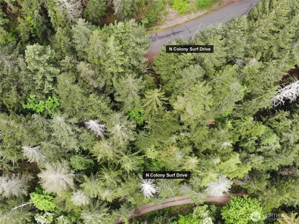 6 X N Colony Surf Drive Lilliwaup, WA 98555