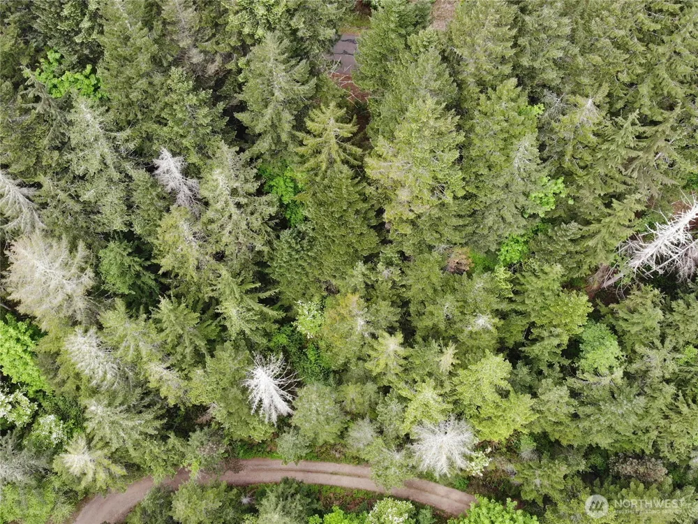 6 X N Colony Surf Drive Lilliwaup, WA 98555