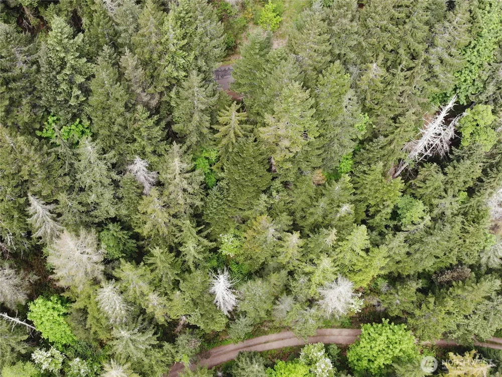 6 X N Colony Surf Drive Lilliwaup, WA 98555