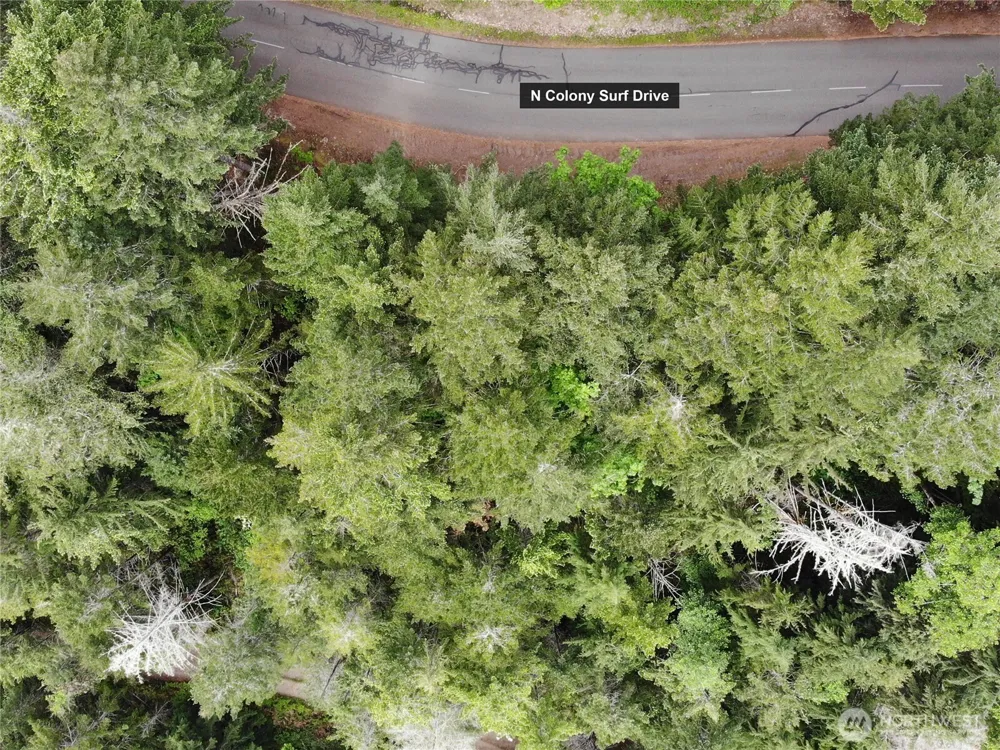 6 X N Colony Surf Drive Lilliwaup, WA 98555