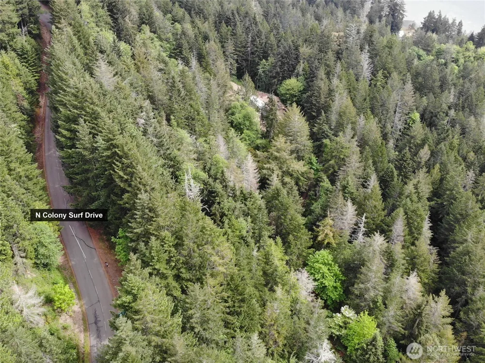 6 X N Colony Surf Drive Lilliwaup, WA 98555