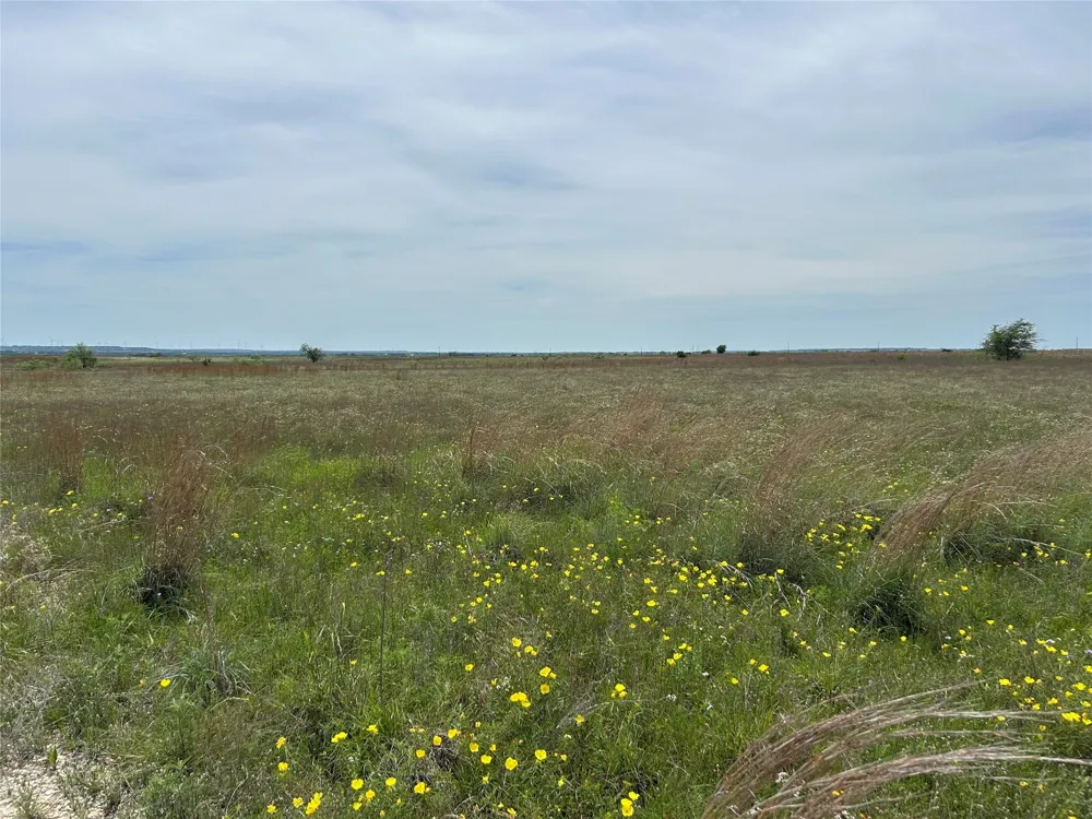 County Road 619 Hamilton, TX 76531