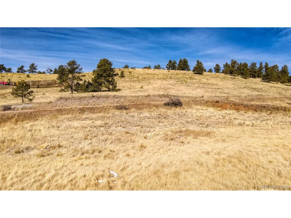 150 High Pasture Road Florissant, CO 80816
