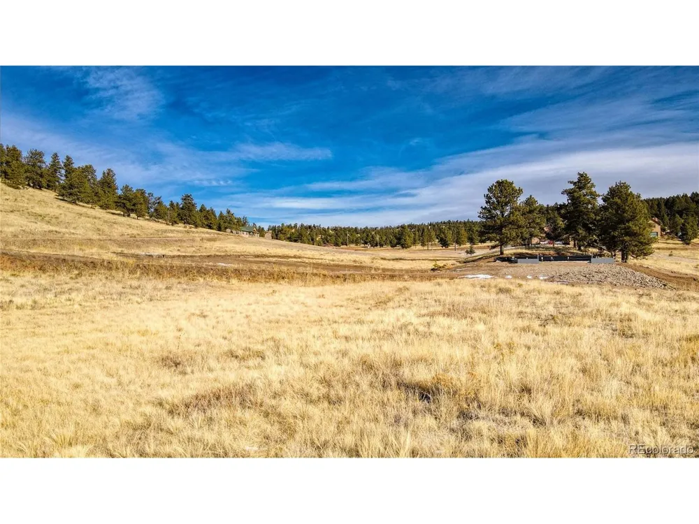 150 High Pasture Road Florissant, CO 80816