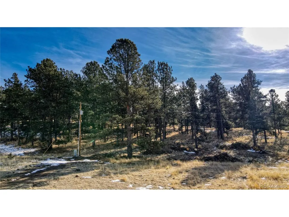 150 High Pasture Road Florissant, CO 80816