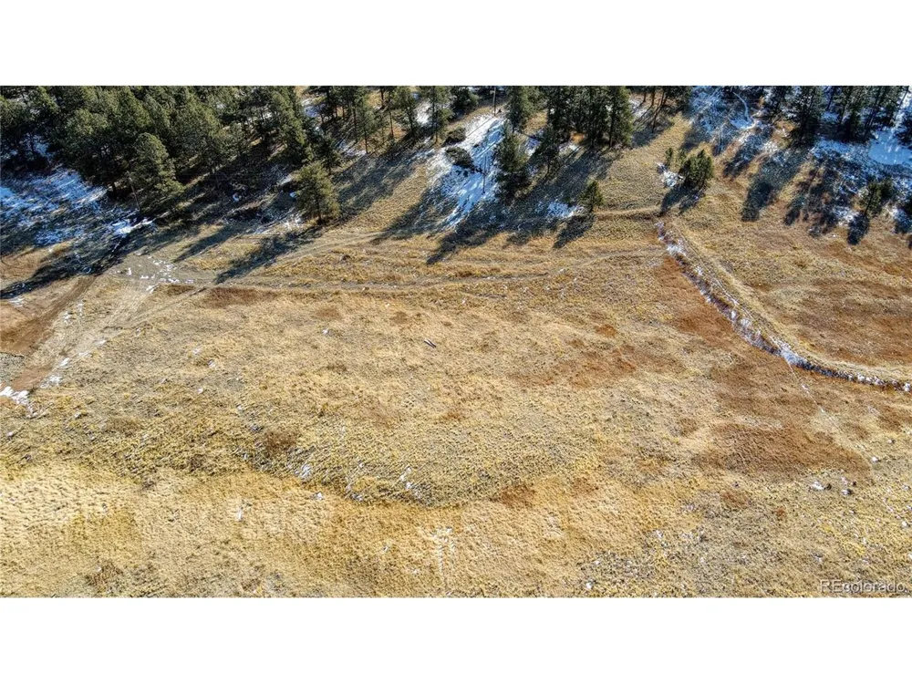 150 High Pasture Road Florissant, CO 80816